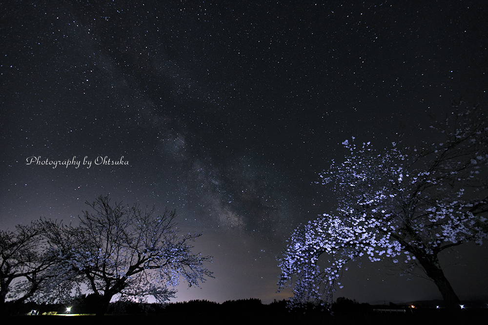 夜桜リトライⅠ