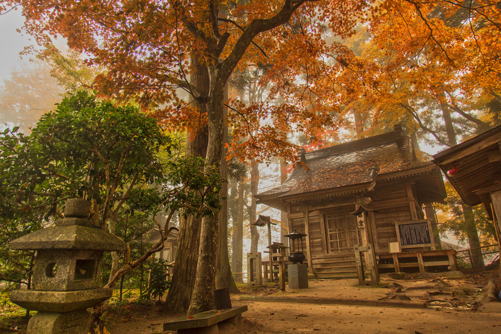 いつかの中尊寺