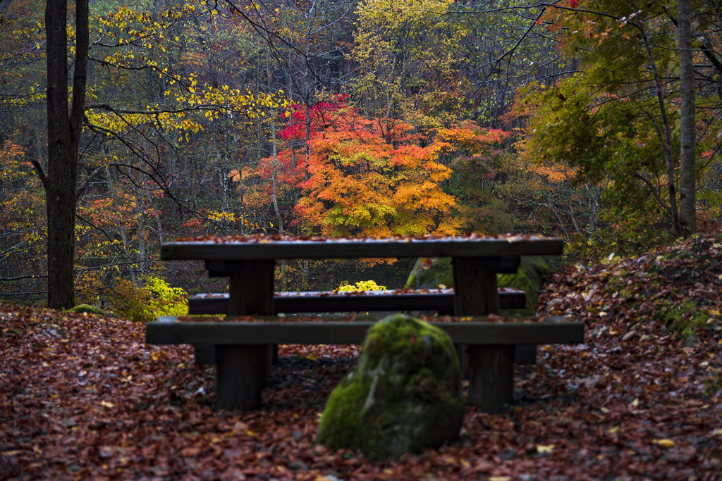 紅葉を眺める場所