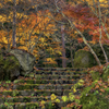 紅葉の階段