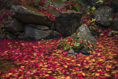 石と紅葉