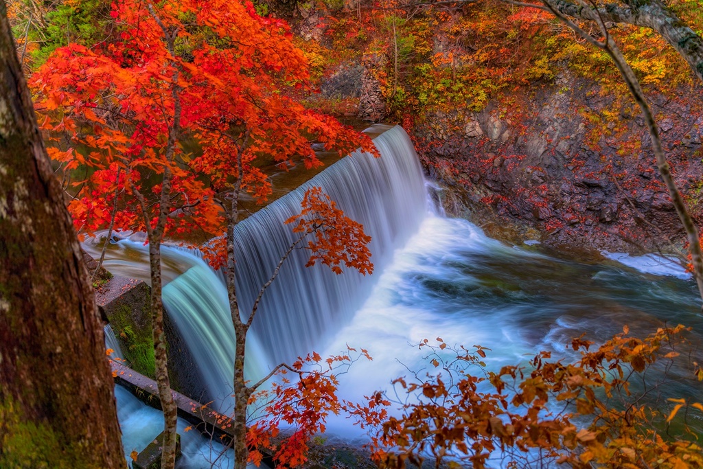 紅葉のダム