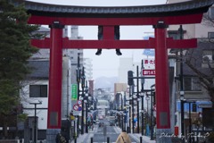 大好きな鳥居からの通り...
