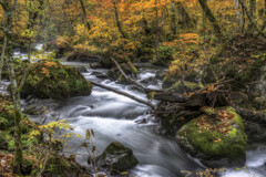 晩秋の渓流より