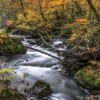 晩秋の渓流より