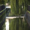 しだれ川