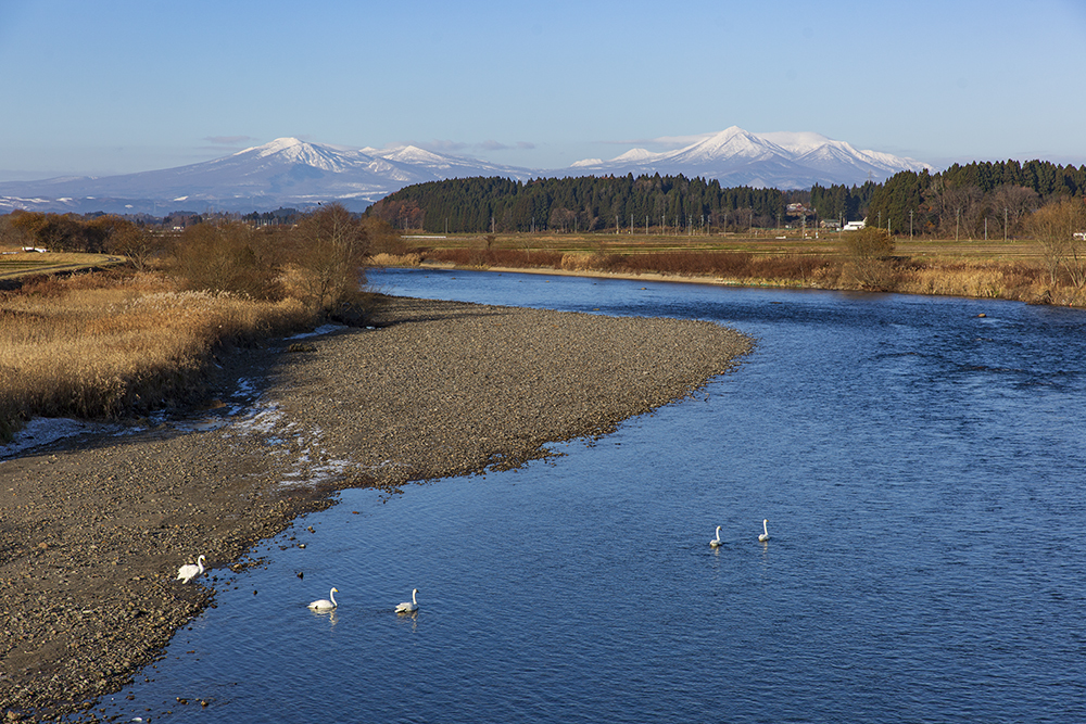 山・川・白鳥