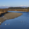 山・川・白鳥