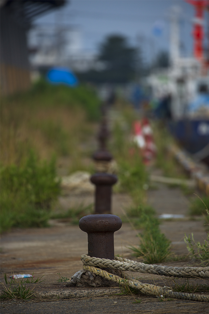 これに腰掛け、海を眺める