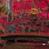 紅葉の橋