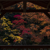 秋の表情