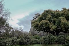 雄姿を再び...其の二