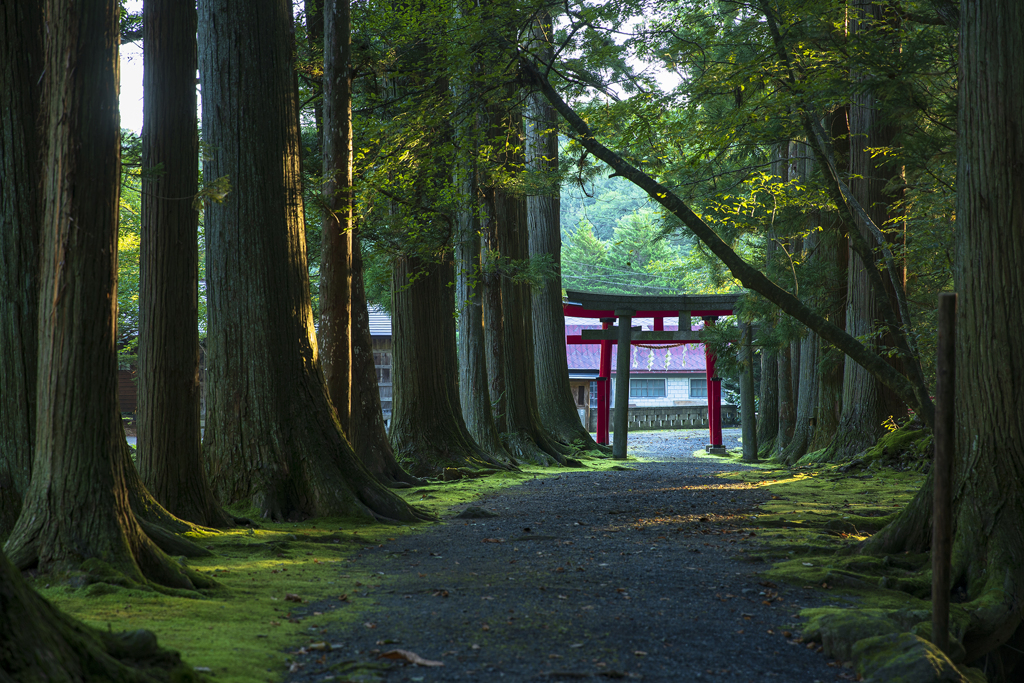 鳥居