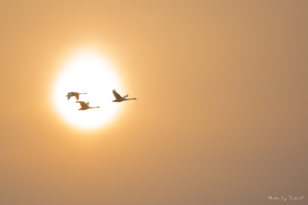 そのライン飛んでくれてありがとう♫