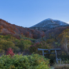 山の鳥居