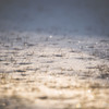 雪の光