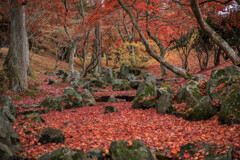 赤の世界〜リトライ編