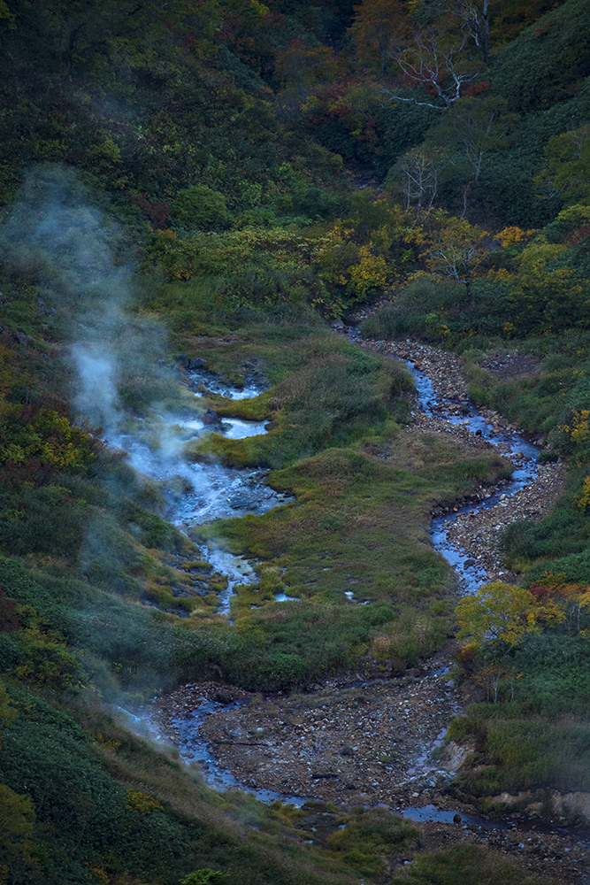 紅葉と温泉