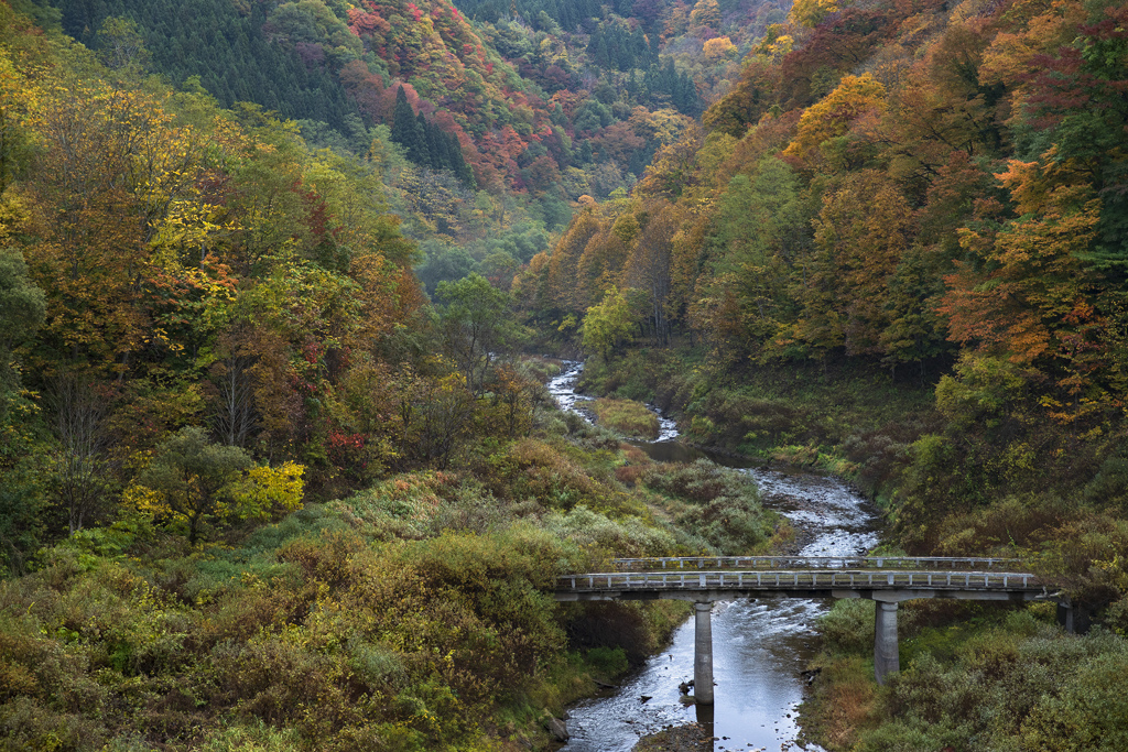 廃橋と紅葉 By Ohtsuka Id 写真共有サイト Photohito