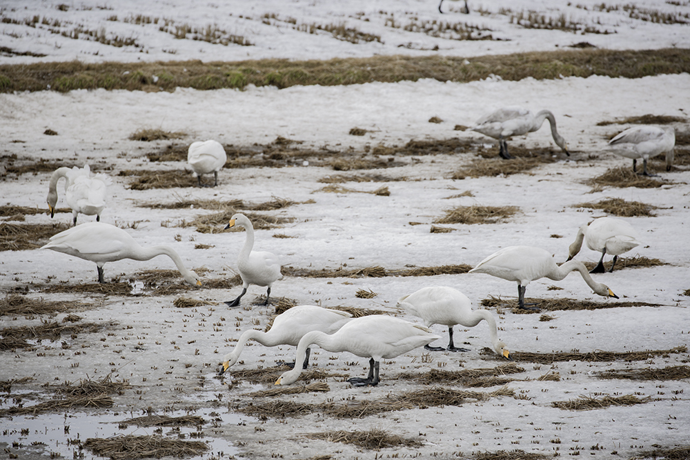 ご飯の時間です♫