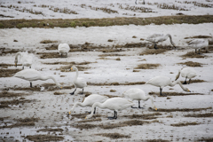 ご飯の時間です♫