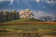 四人の侍