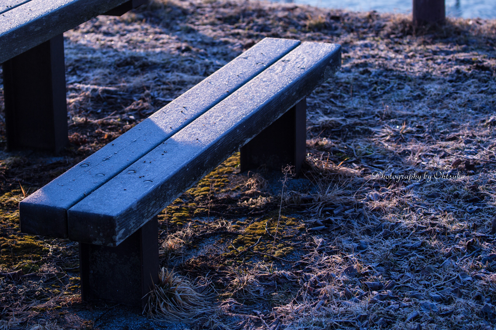 新・誰も座らないベンチ...Ⅳ