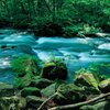 渓流横の流れ...