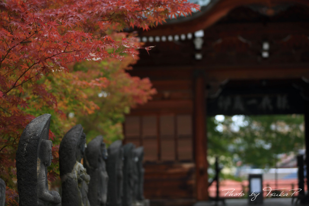 去年の最勝院...