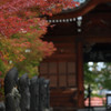 去年の最勝院...