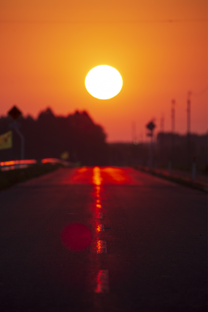 太陽に向かって