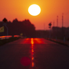 太陽に向かって