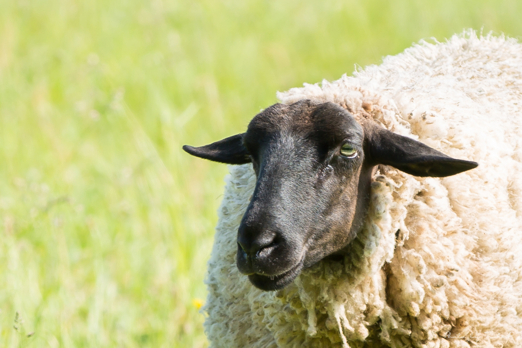 なに見てんだよ...(-_-;)