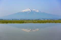 男山リフレクション