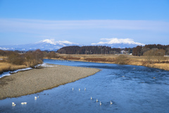 山と川と白鳥と