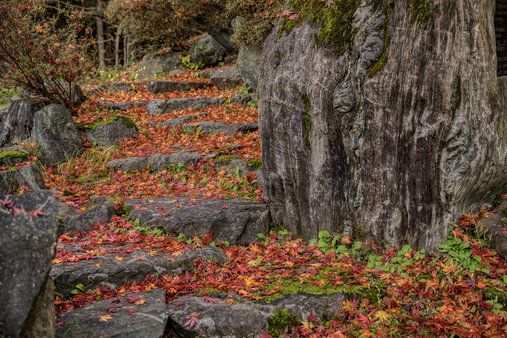 紅葉の階段。