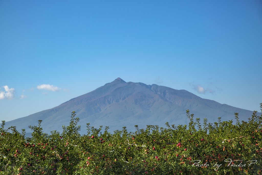林檎・山・空