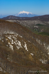 男山