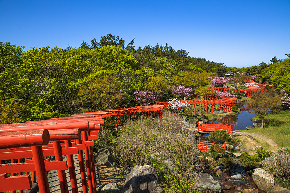 久しぶりの千本鳥居