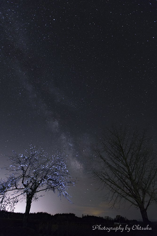 夜桜リトライⅡ