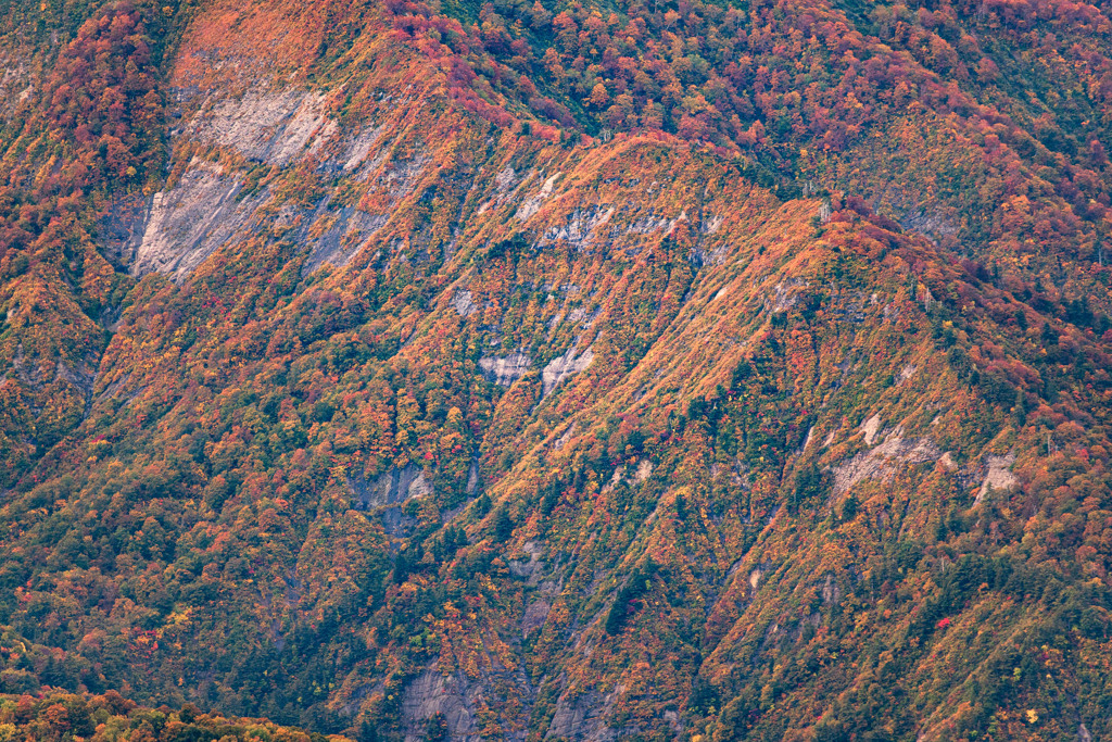 秋の断崖