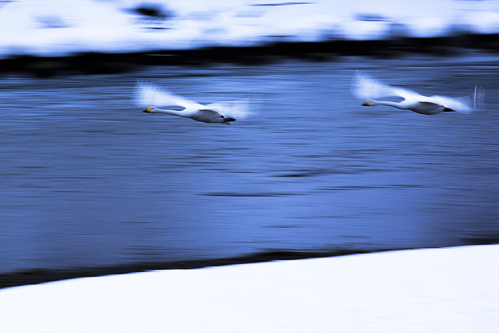 流し撮り、、、無理、、、orz