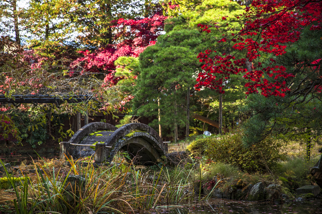 石橋と紅葉