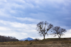 癒しの風景