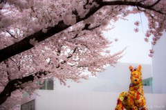 お花見する花馬