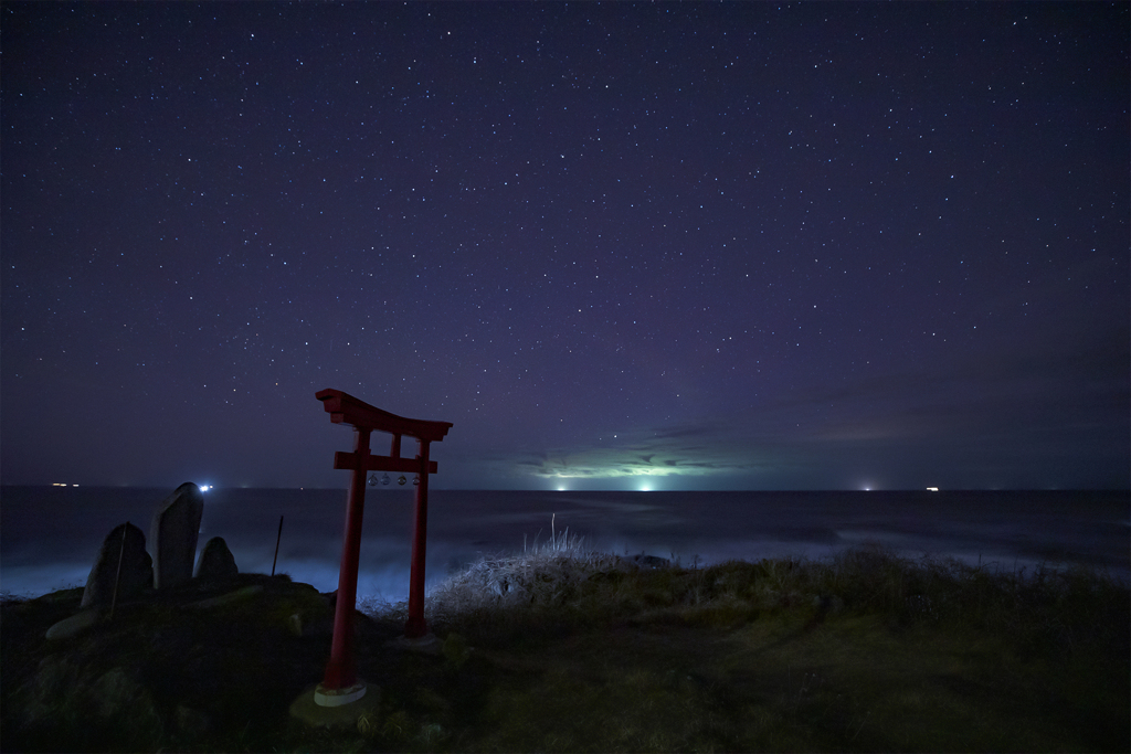 夜の鳥居