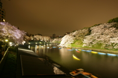 千鳥ヶ淵