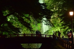 箕面の滝
