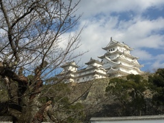 姫路城2016