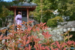 祈願